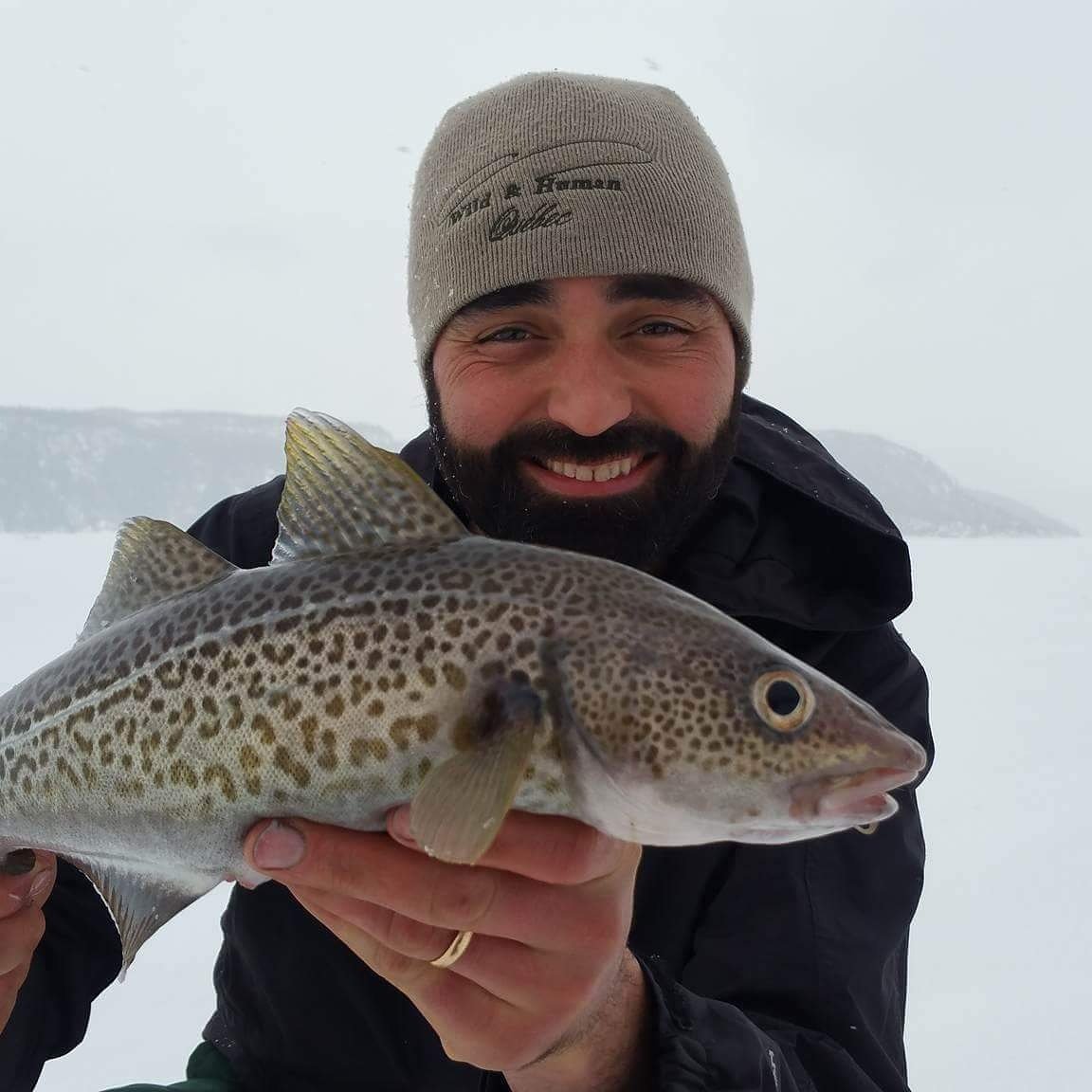 DgWildhuman's tweet photo. Morue ❄🐟 #angler #icefishing #fishing #morue #canada #quebec #passion #enjoy #life #nature #team #zen #wild #human #people #love #to #fish https://t.co/xT9aqMCOlq
