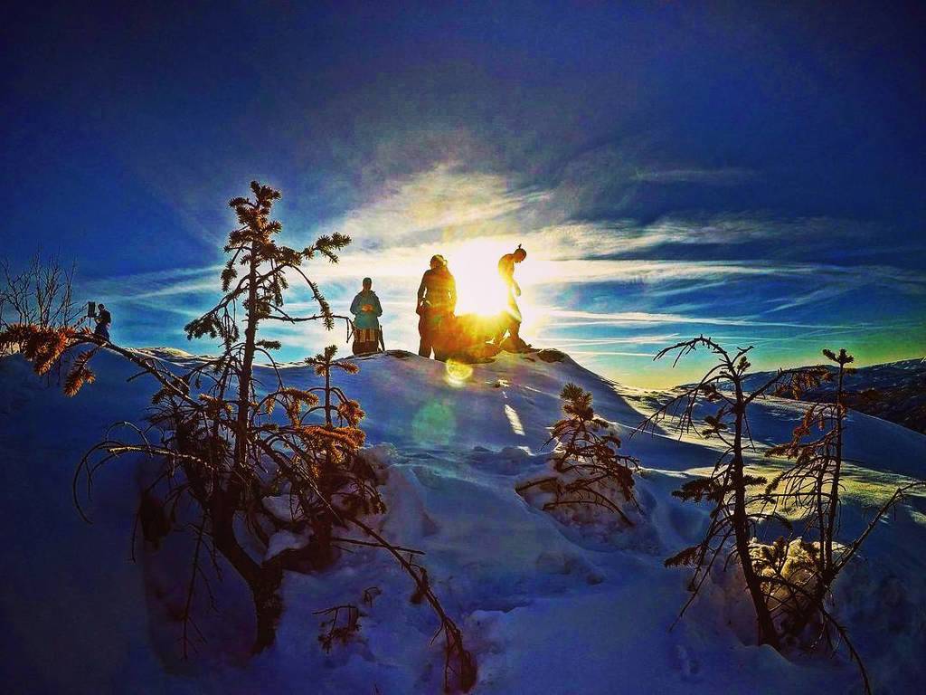 nrsterud's tweet photo. Gotta love the winter 😍
#winter #mountainsofnorway #sun #gopro5 #travel #gophotography #g… https://t.co/ZR5mHKsaT1 https://t.co/DoamywvJw7