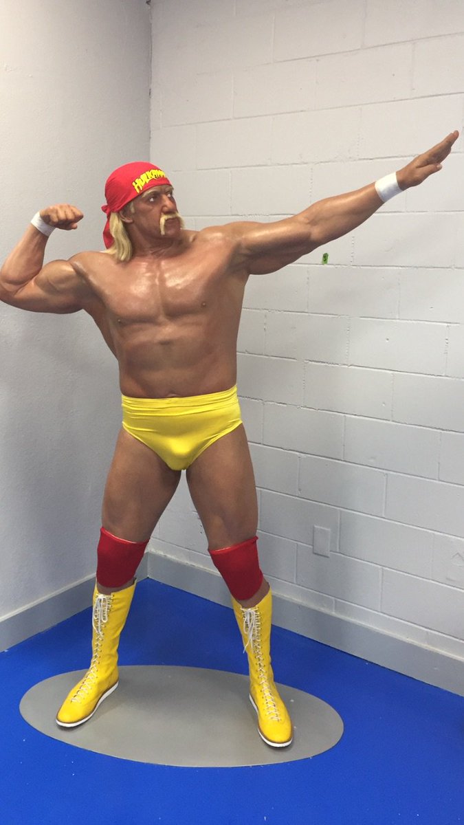 All I need is a title belt brother HH https://t.co/fdLuRKdPeu