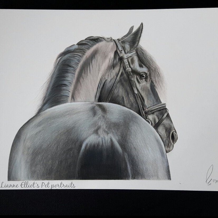 LianneElliot's tweet photo. My latest drawing on A4 with Faber-Castell polychromo colour pencils 😀 https://t.co/HPclujxM8U