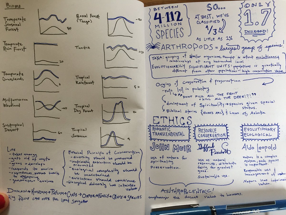 maddie__wescott's tweet photo. #justEES028things #studyingsohard #weloveBiodiversity #somuch #ees028 @LizGagliardi219 https://t.co/lCy2zCwU1g