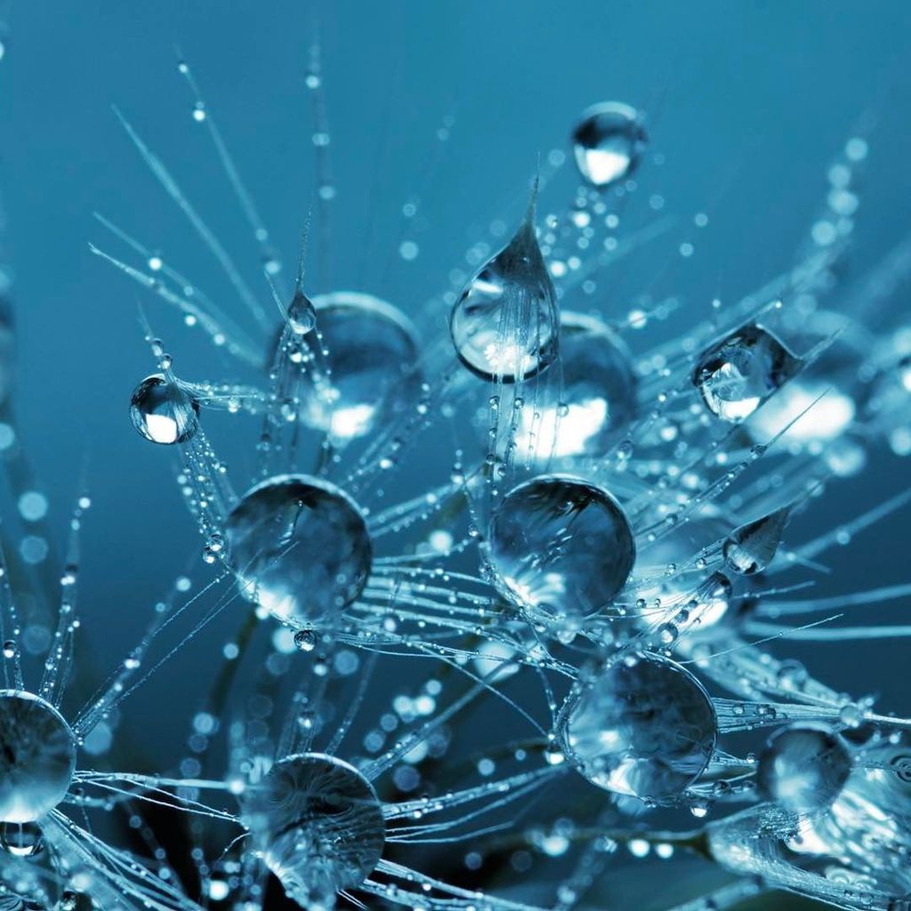 CYCL_EAU's tweet photo. L'eau peut prendre différentes formes ❄️ 💦
#eau #water #cristaux #goutte #nature #instapur… https://t.co/Rik8o31ByG https://t.co/YVNYZzkHYX