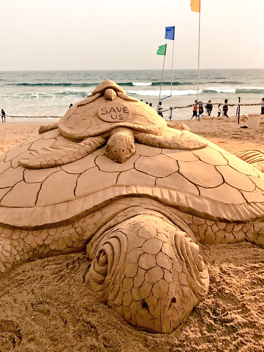 sudarsansand's tweet image. On the occasion of #CleanBeachFest , My SandArt on #Turtle awareness at #Gopalpur beach in Odisha