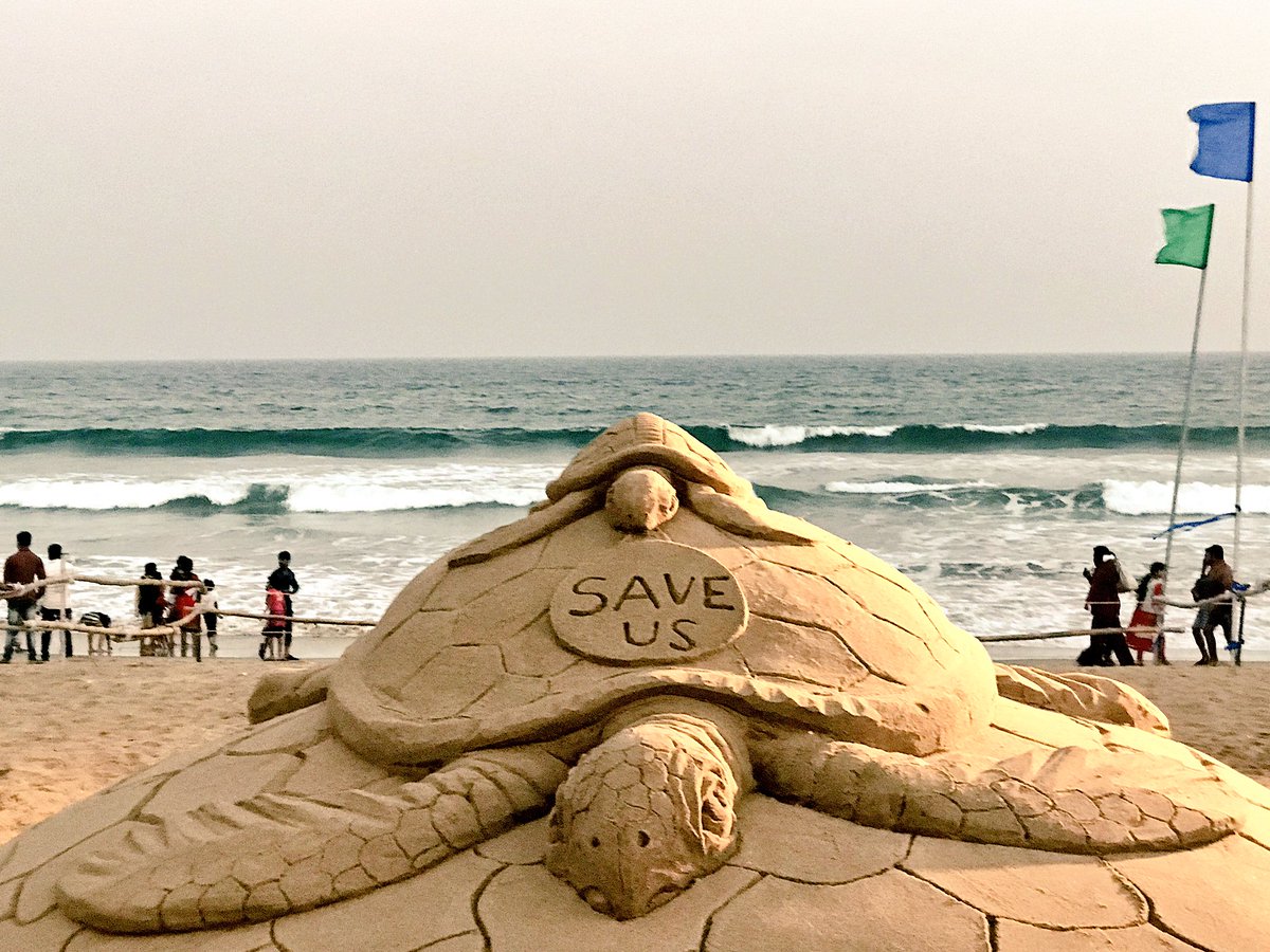 sudarsansand's tweet image. On the occasion of #CleanBeachFest , My SandArt on #Turtle awareness at #Gopalpur beach in Odisha