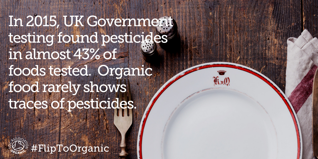 SoilAssociation's tweet image. Non-organic food production makes wide use of pesticides which can make their way into our food #FlipToOrganic ow.ly/o4wg309mGdB