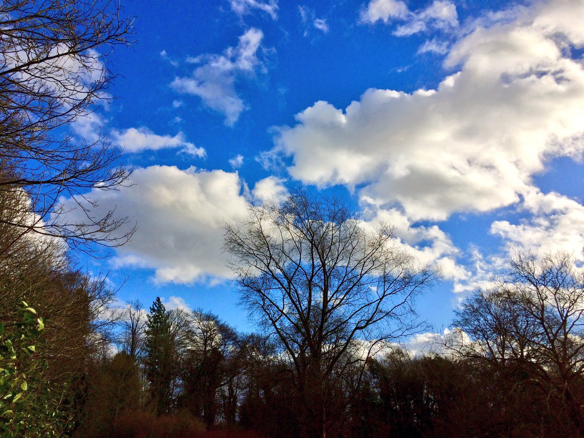 AngleseyAbbeyNT's tweet photo. @AngleseyAbbeyNT #skyblueday, a beautiful sky over the gardens https://t.co/3Yu2YyDKgY