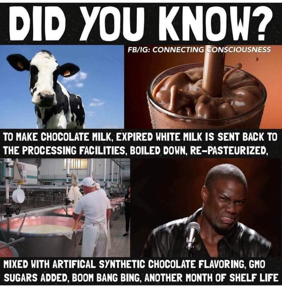 milk #cow #chocolate #factory #corporations #DidYouKnow #facts #science #ma...