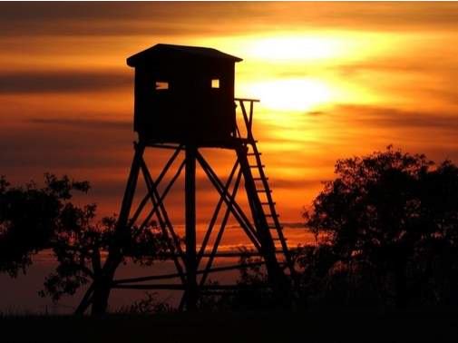 Volksstimme's tweet image. #Finzelberg-Prozess: Die Anklage kann den #Hochsitz, auf dem Geldübergabe stattgefunden haben soll, nicht finden. volksstimme.de/lokal/burg/fin…