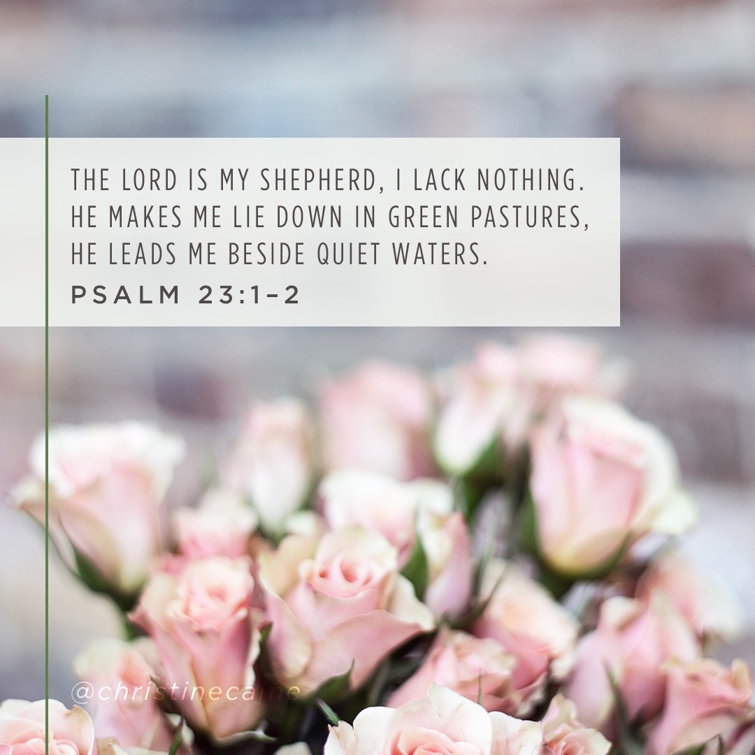 ChristineCaine's tweet photo. https://t.co/JjL2MREXH4