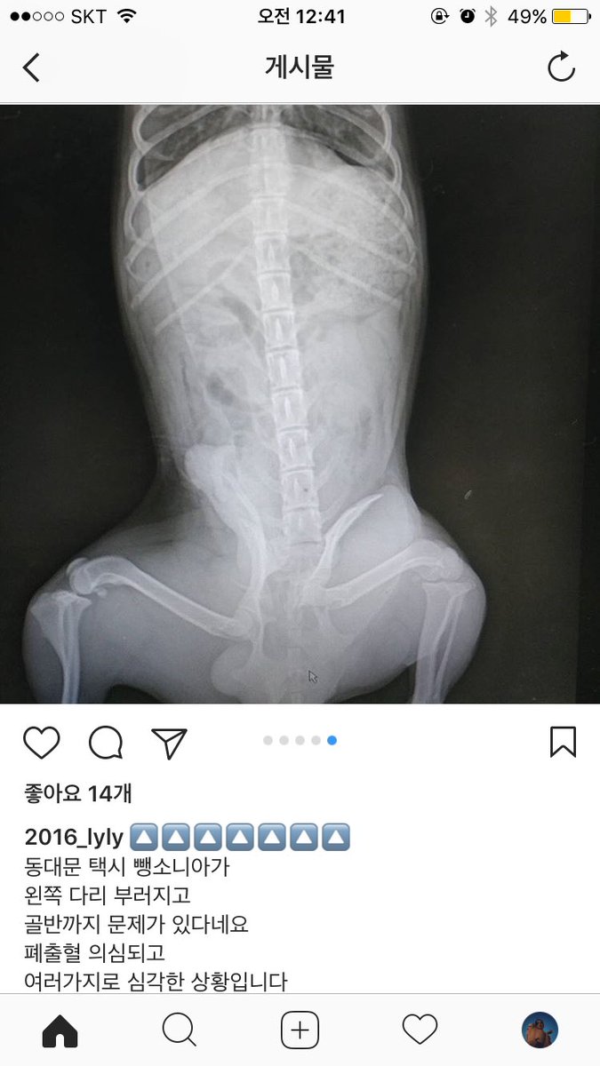 성은 김이요👩🏼‍🎤 tweet media