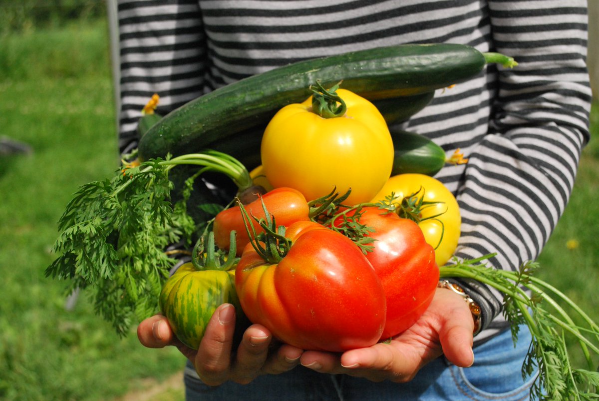 GardensMB's tweet photo. Join Natalie Elizabeth as she workshops veggie gardens for busy people at Gardening Saturday. https://t.co/dQvOZLJDrI

@urbaneatin https://t.co/osO9nQJ94Y