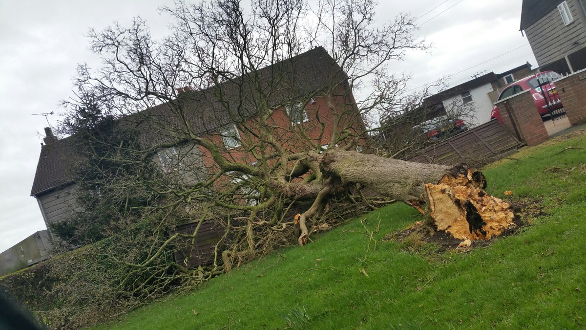 JanCheshirePR's tweet photo. Lucky escape for this house & family in Warmingham near Crewe #dorisstorm https://t.co/Vx6Sv00RDm