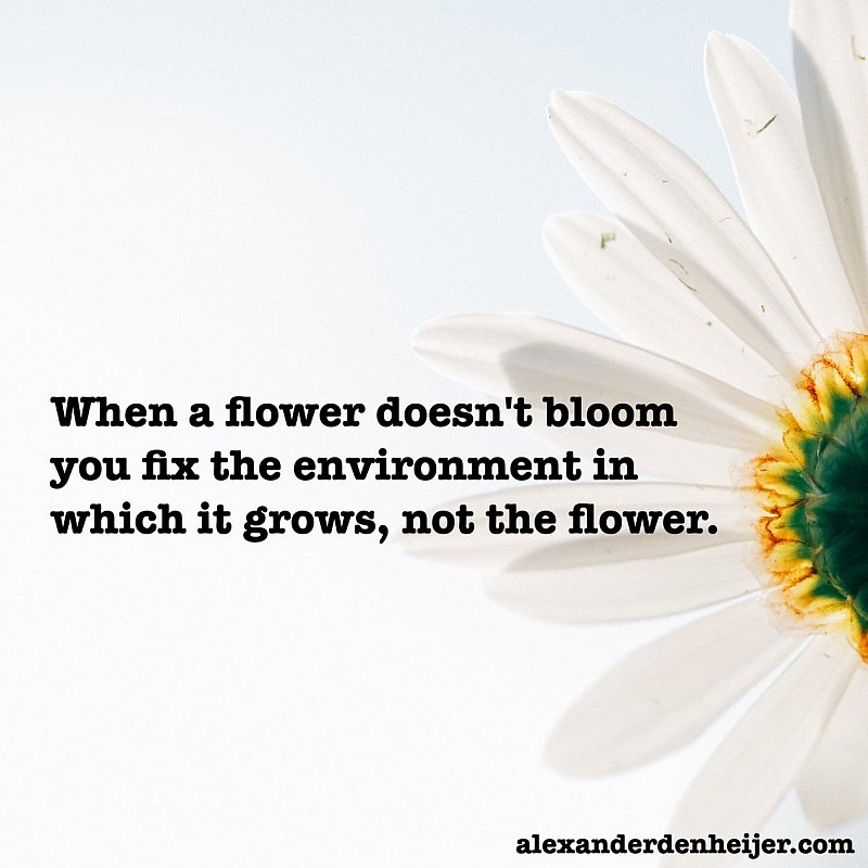 'When a flower doesn't bloom you fix the environment in which it grows, not the flower.' #thirdteacher #learning #culture #peel21st #PeelEML