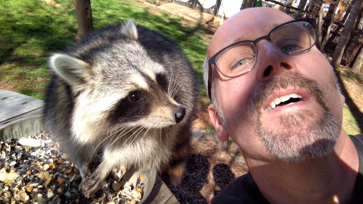 skenseth's tweet image. Great morning for a Sylvia selfie. #acoonslife #lovethewildlife #countryliving