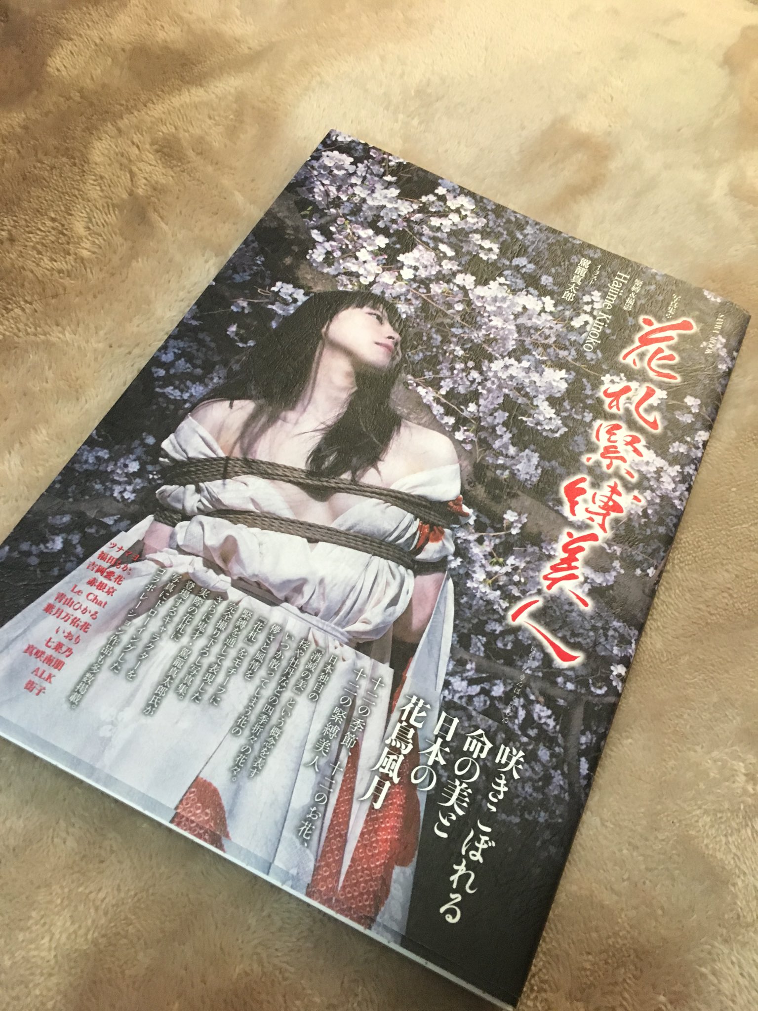 花札緊縛美人　画像 