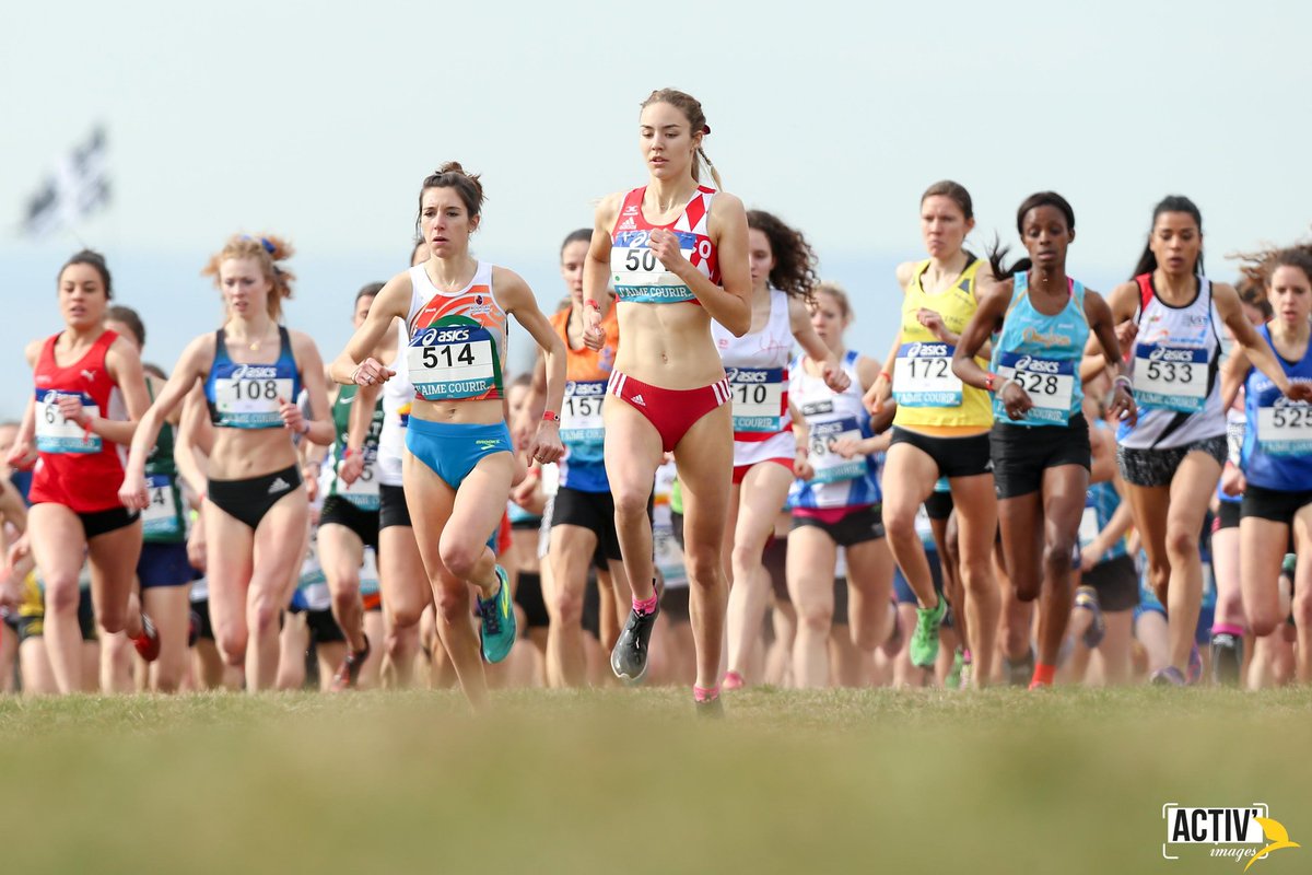 FFTRI's tweet photo. Bravo aux triathlètes présents au France de Cross.
Félicitations à
C. Beaugrand, C. Lejeune et B. Pierre champions de France
@TrimaxMag https://t.co/UuwXxkcvRq
