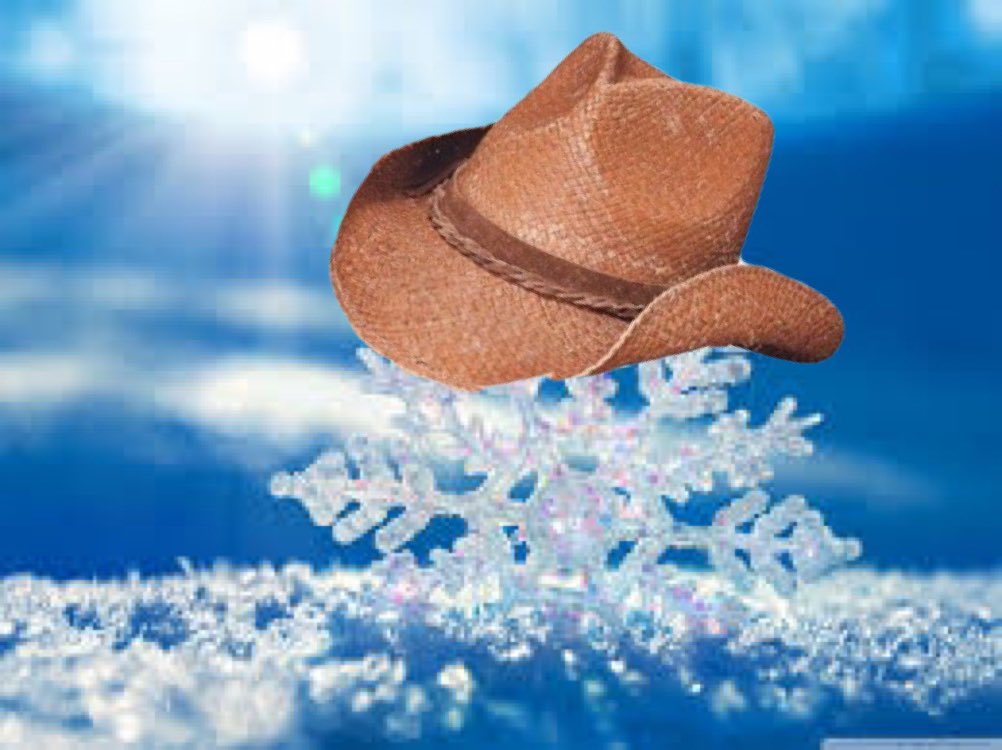 24_cwaters's tweet image. What in precipitation! #MOWeather