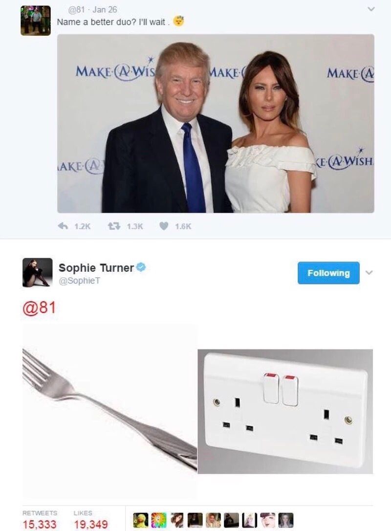 DemocratDignity's tweet image. Fork + electrical socket = better duo than Donald and Melania