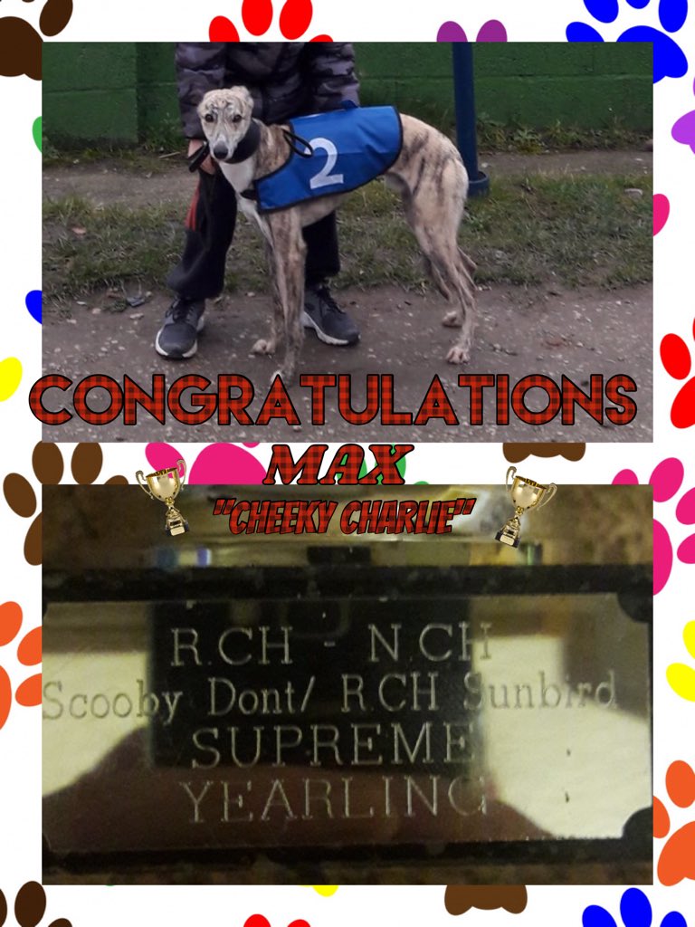 #kilwinningwrc first #trophy collected!! #congratulations to nonped Max aka Cheeky Charlie and trainer Mason on their win!! #whippetracing 🏆