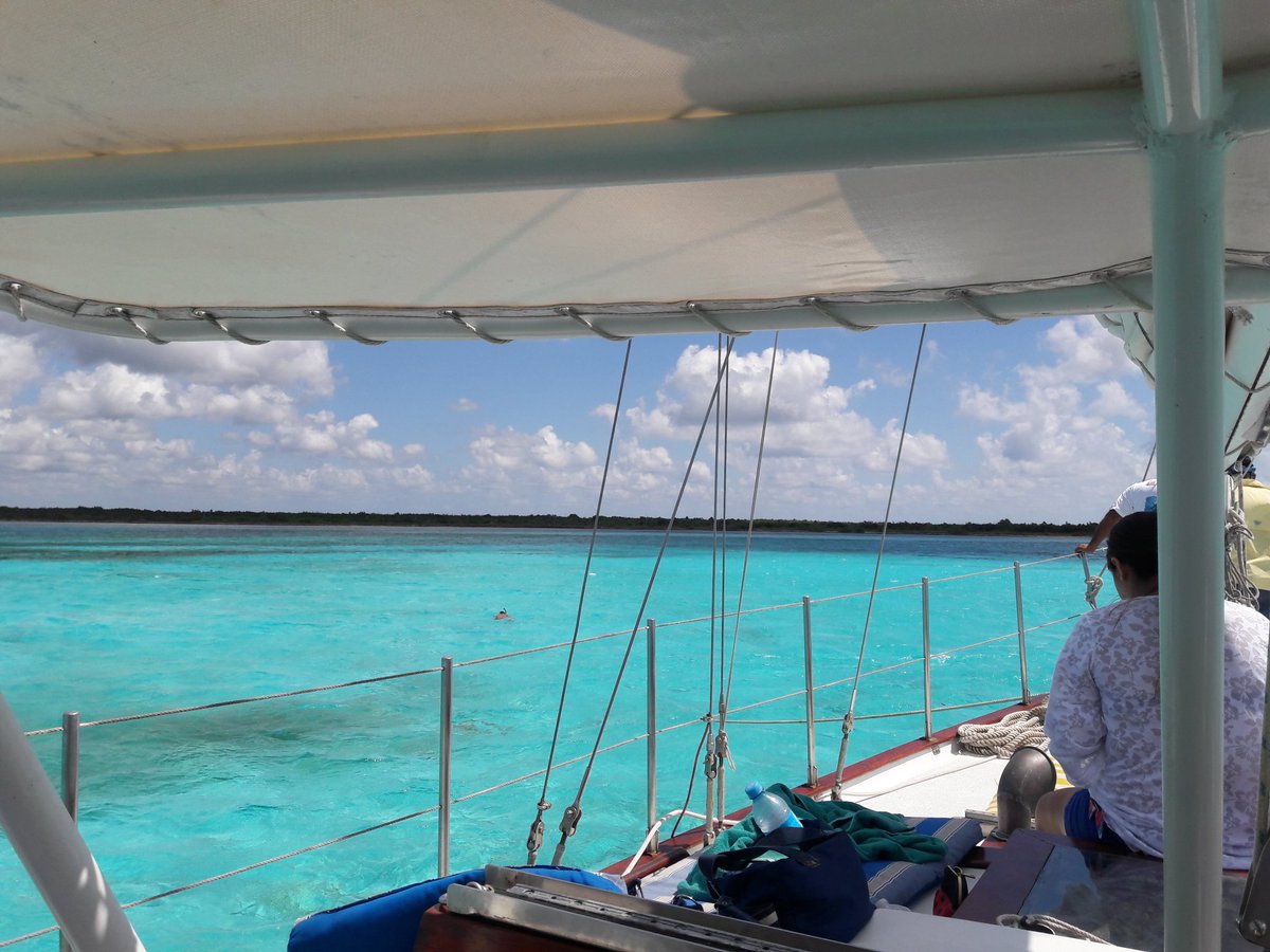 Djtrejo's tweet photo. Bienvenidos al #cielo #cozumel #VisitaQuintanaRoo @MexicoDestinos @MexicoHoteles @VivoEnCancun @maggymua @ClaudiaAnchondo https://t.co/YSSFWGXFkx