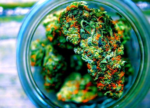 Orange Kush
Looking A+