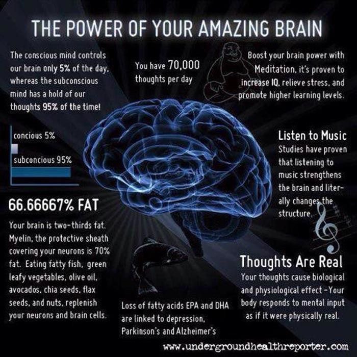 veg_n_herbs's tweet photo. MUSIC strengthens the BRAIN.
#SundayFunday #ERedCarpet #Answers #FeinsteinEmptyChair #Twister #UFC #Riverdale #AMJoy https://t.co/u7B5h0QIwO