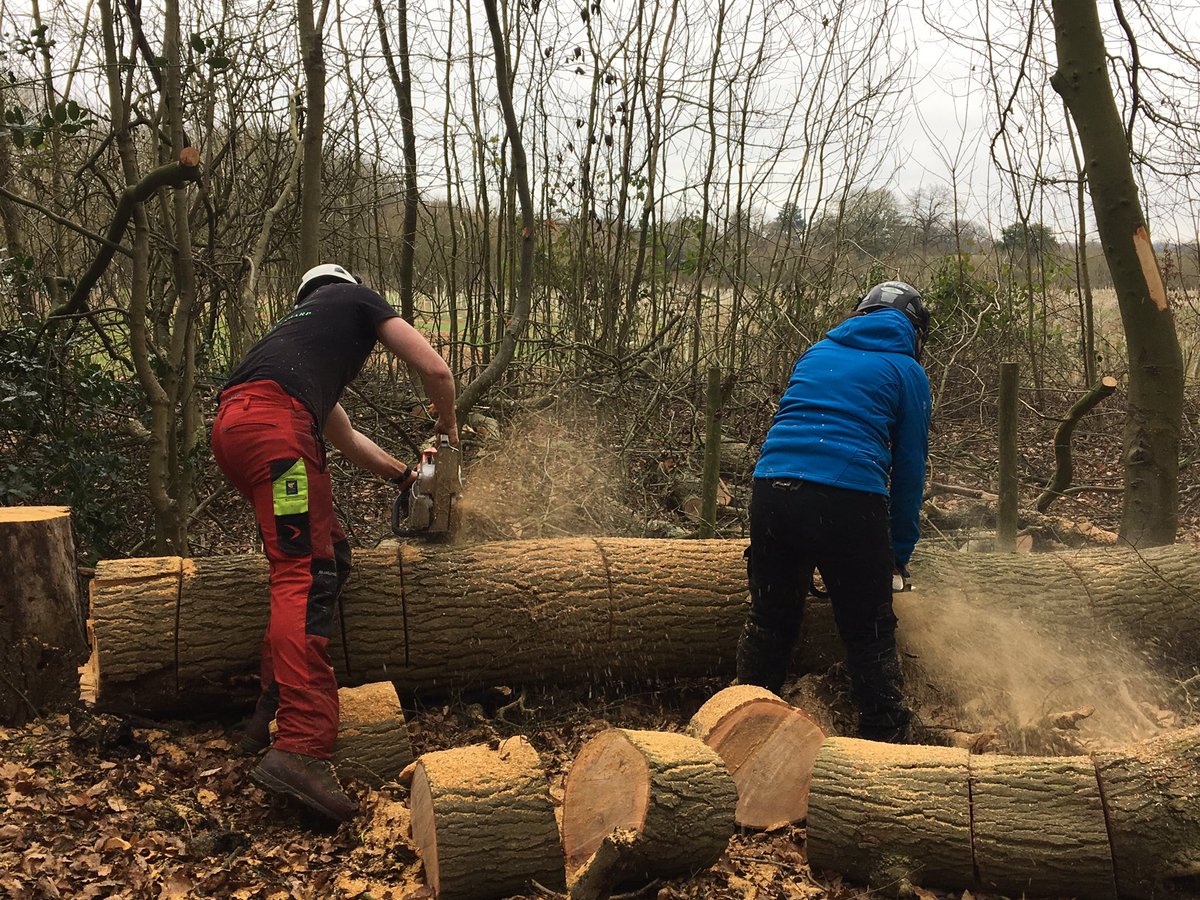 Bit of chainsaw work up lees wood this weekend #scouts #hertsscouts #scoutnetwork #leeswood #chainsaw