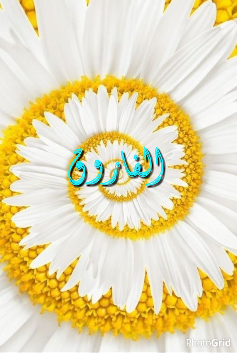 .

#الاسلام_سلوك_وقدوه
قال عمر بن الخطاب -رضي الله عنه وأرضاه:
 إن كان لك عقل فلك أصــل
وإن كان لك خلق فلك شرف
وإن كان لك تقوى فلك كرم

.