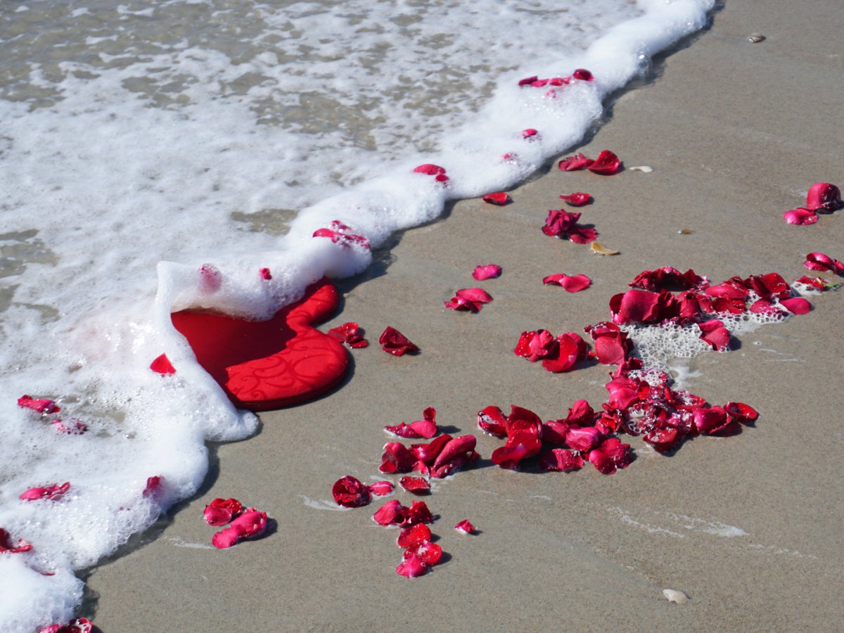 loribalch2's tweet photo. What's a girl do with old Valentine's candy and roses?  Play with them on the beach, of course.
#crystalcoastnc #valentinesover #romantica https://t.co/E5U6MWeQA4