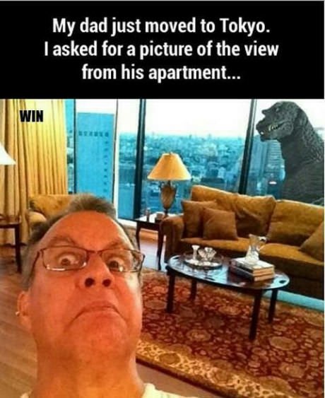 BestGAG's tweet photo. I asked for a picture.... https://t.co/junBrRwMke