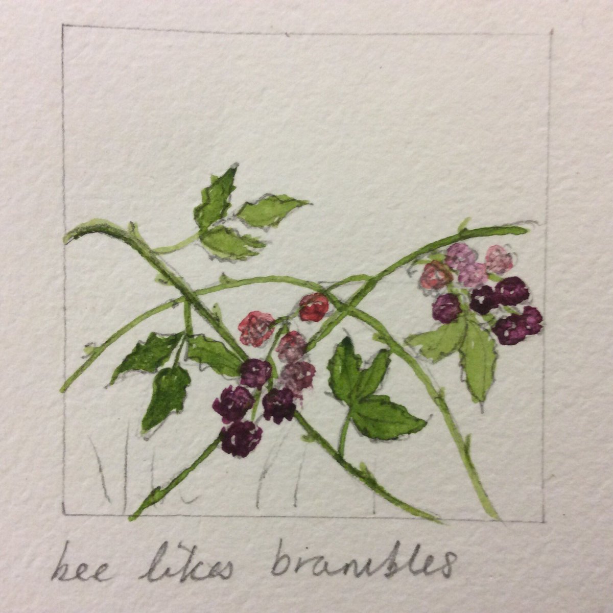 Fabstainedglass's tweet photo. Watercolour research ... #theinterconnectednessofallthings #bees #Somerton #Somerset #artworks #watercolor #Watercolour https://t.co/vRTO7u16HV