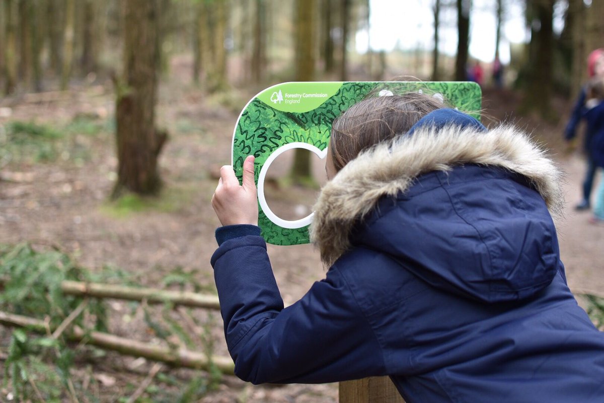Muminanutshell's tweet photo. Have you spotted the Gruffalo at Halden Forest yet? We did! #GruffaloSpotters https://t.co/PB50gb0n83
