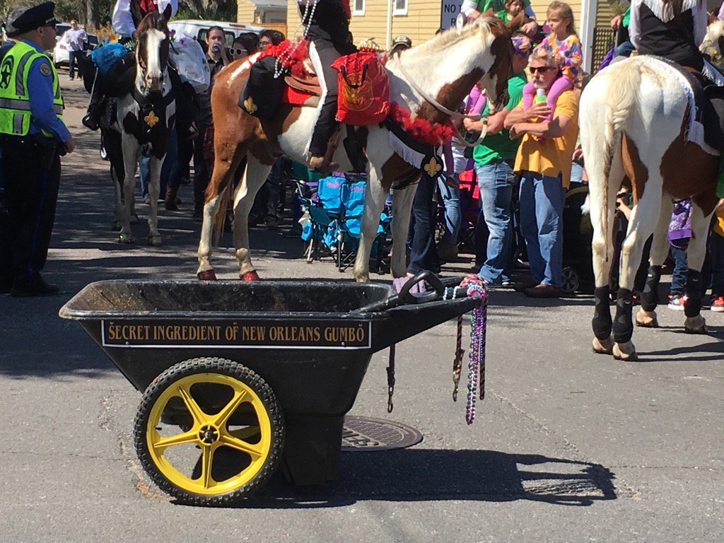 Bill Capo tweet media