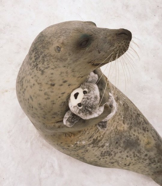 yanseal's tweet photo. me when @selkeigh is gone https://t.co/mkIr1ILvcW