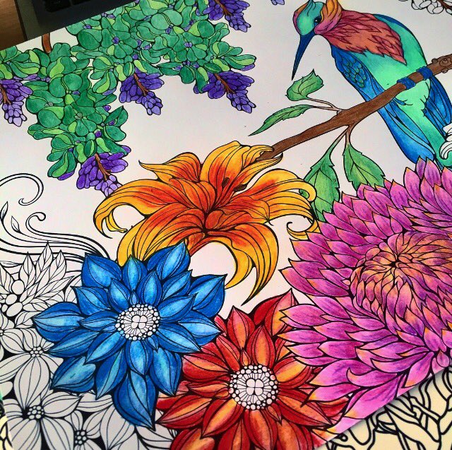 #wip #kohinoor #progresso #birds #flower #ColoringBook #adultcolouringbook #my_coloring