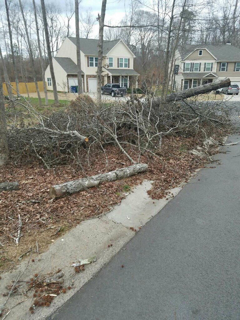 B&M Tree Removal (BnMTreeRemoval) Twitter