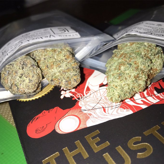 Velvet Cookies or Lemon Cake OG? 🍋🍰🍪 https://t.co/Cm9n24wF2q<a href="/tag/choices"class="tags"><span>#choices</span></a>