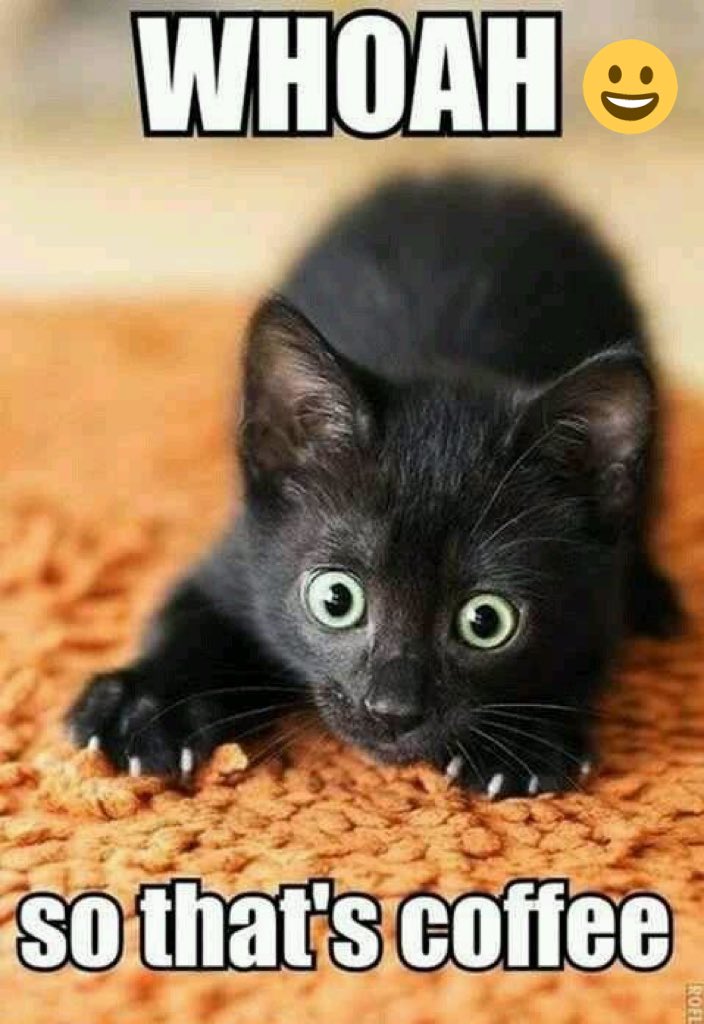 happybeanscoffe's tweet photo. It's Sunday!  SAY "YES" TO EVERYTHING!!! #betterstrongerfastercuter #happybeanscoffee https://t.co/5Z4sk65k8h