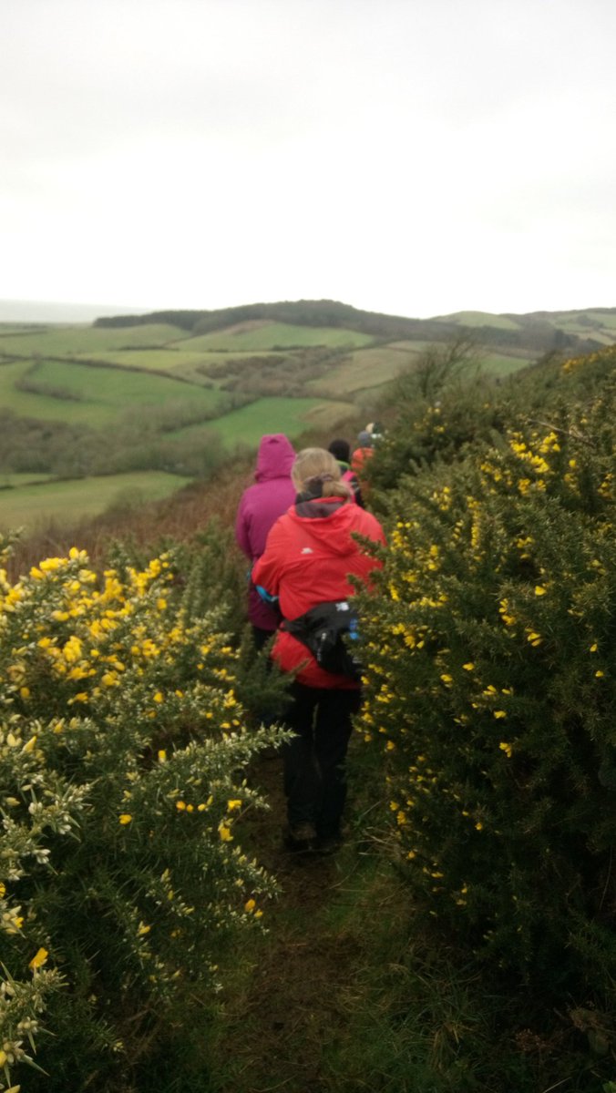 iowldwa's tweet image. 16 mile #Shalfleet circular including our 2 youngest members, 8 and 10. Lovely to see all the signs of #spring