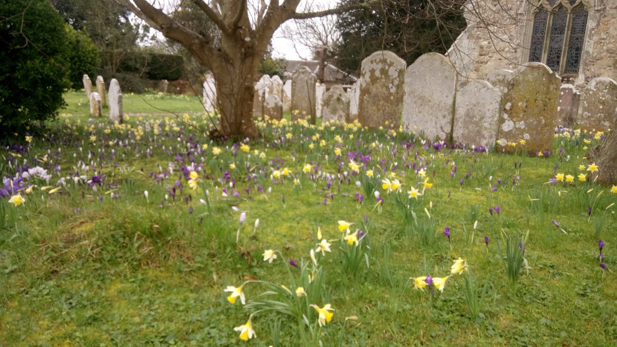 iowldwa's tweet image. 16 mile #Shalfleet circular including our 2 youngest members, 8 and 10. Lovely to see all the signs of #spring