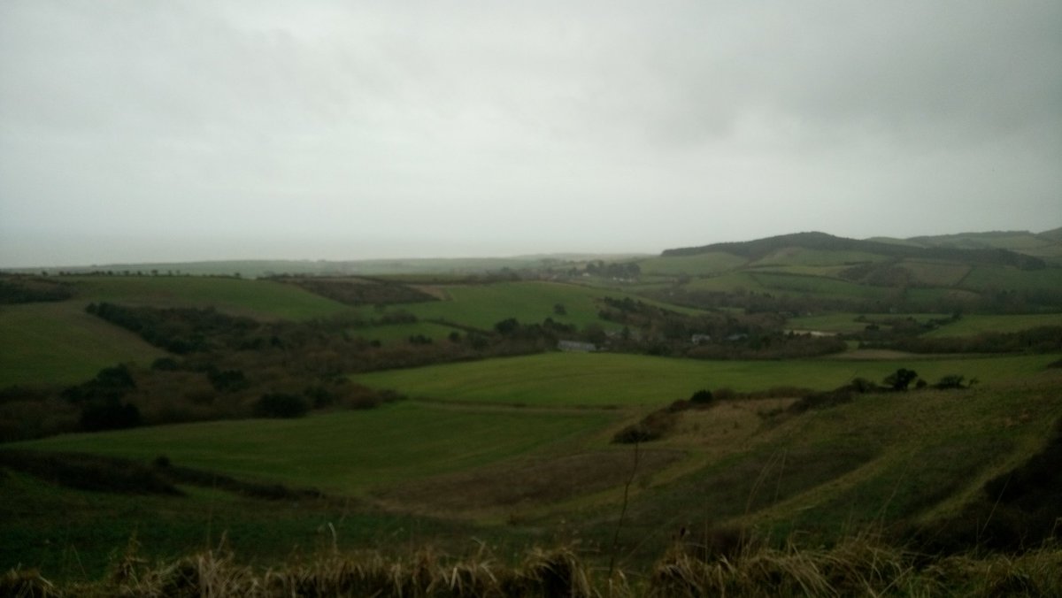 iowldwa's tweet image. 16 mile #Shalfleet circular including our 2 youngest members, 8 and 10. Lovely to see all the signs of #spring