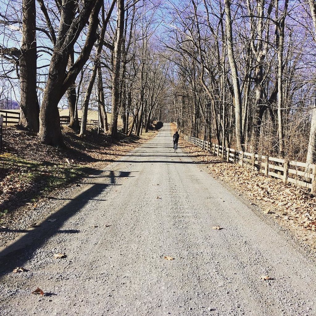 americancyclo's tweet photo. Trying not to die following @incentvay.gnay on gravel https://t.co/ot55Xq2KjX https://t.co/tszdjmFu6v