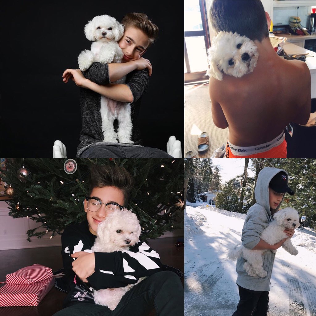 johnnyopolandd's tweet photo. @Bentleypuppy #KCAFavViralMusicArtist #JohnnyOrlando https://t.co/kvmd5bl452