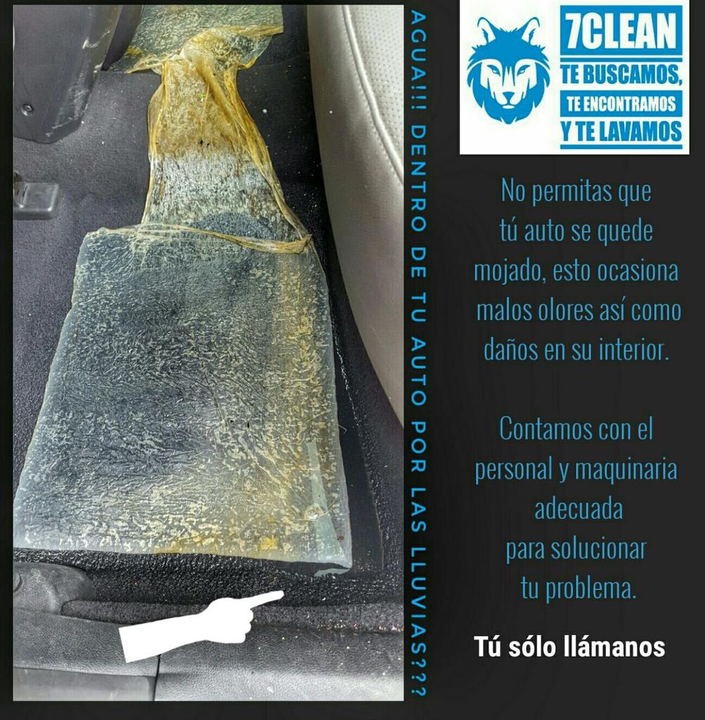 7Clean_'s tweet photo. Tu solo llámanos 📲0994747547 #7Clean 
Trabajaremos este feriado para ti 🚗 🚿 https://t.co/dlj34IOHxD