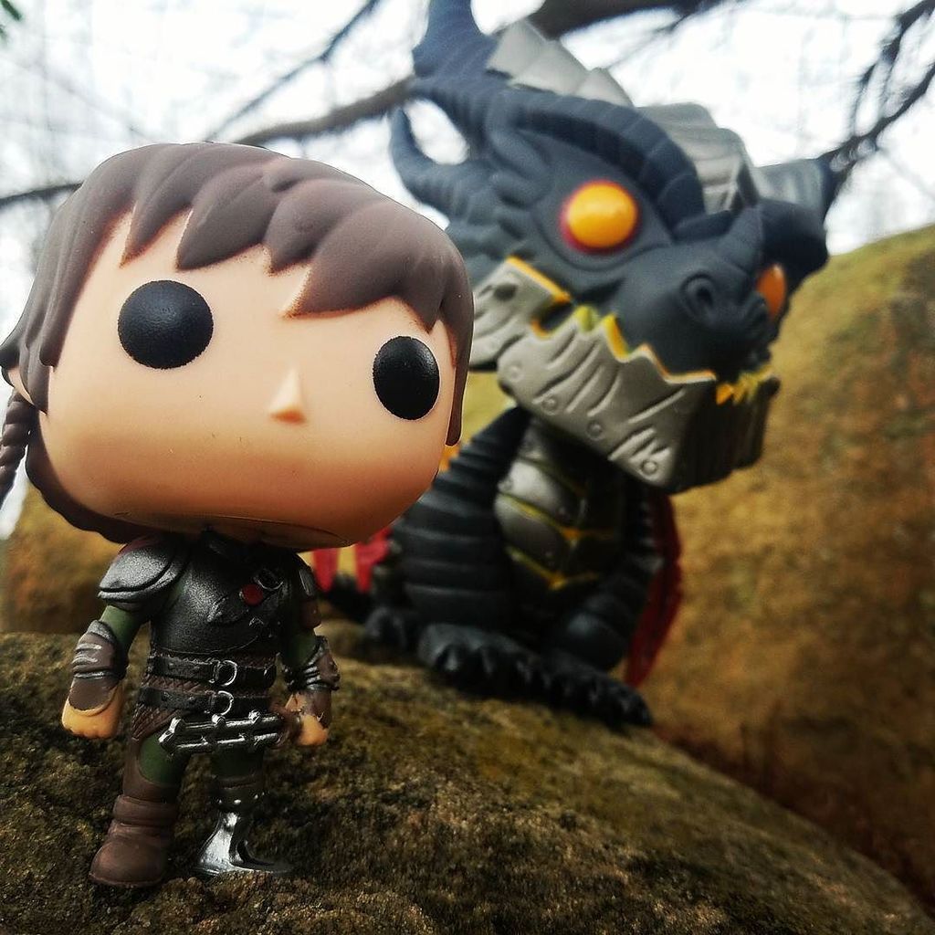 DorkFour's tweet photo. Hiccup upgraded dragons. #funko #funkopop #wow #httyd #deathwing #worldofwarcraft #hiccup #sundayfunday #topfunkoph… https://t.co/MJPmDFaNq4