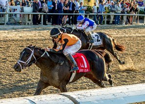 BetThoroughbred's tweet photo. Girvin victorious in Risen Star in only Third Start https://t.co/340pJFI7pB https://t.co/PGDS7Eeorz