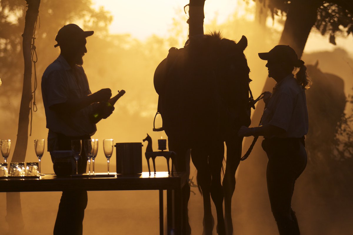 aardvarksafaris's tweet photo. Unique Sundowners https://t.co/loEgz1P6sO @RidingSafaris #Horsechat https://t.co/jlMc3hD2r9