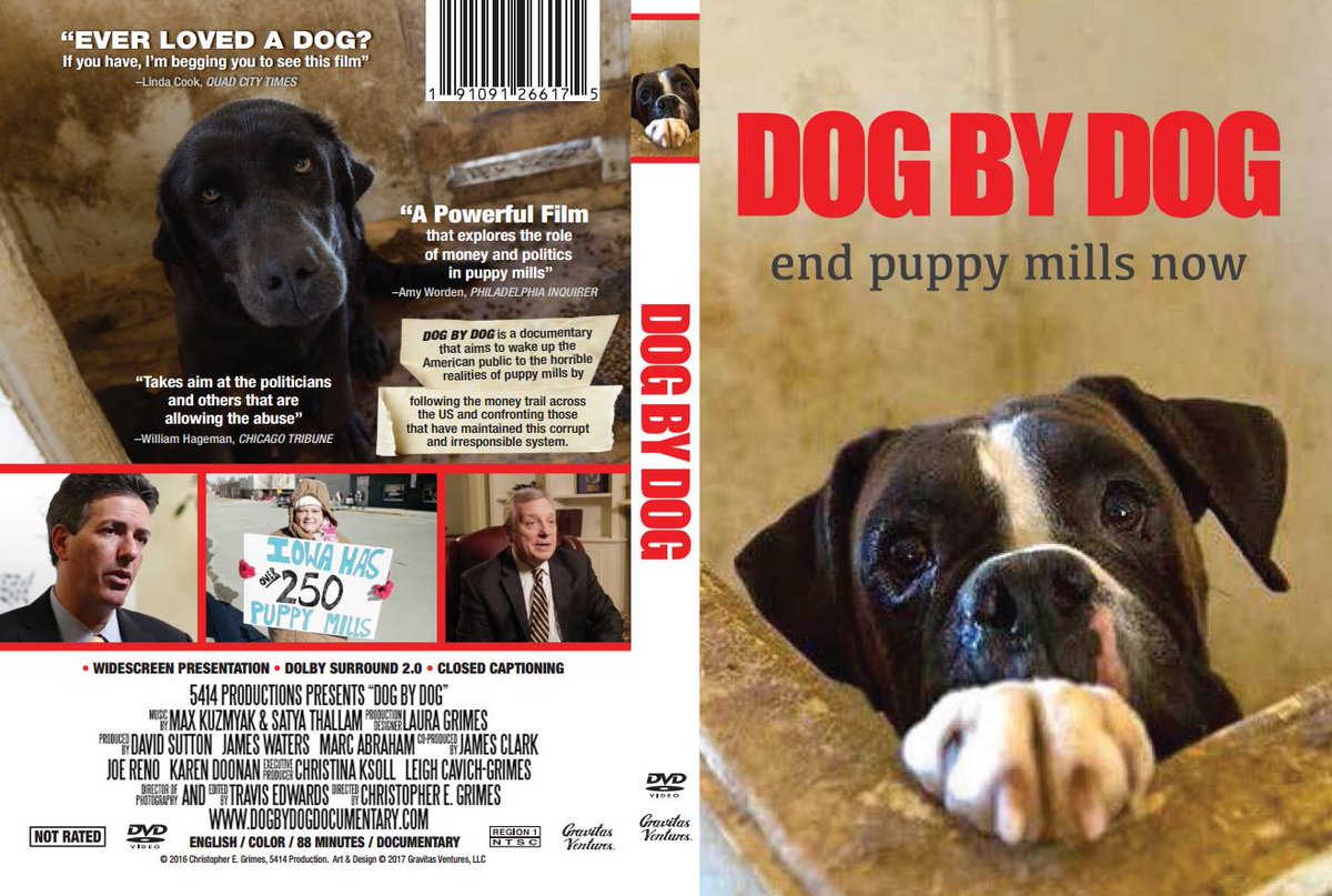 DBDexecproducr's tweet photo. Please share the truth about who is really behind puppy mills. @FindingShelterA @pupaid @CARIADCAMPAIGN @hi_sight @VictoriaS @MistyWooEngle https://t.co/NO9prnCaEt