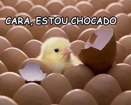 Mundo Zueira tweet media