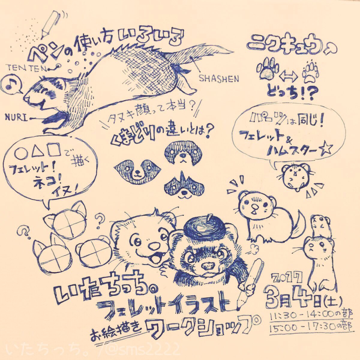 スミス いたちっち V Twitter 通販受付スタート 3 4 土 フェレットイラストワークショップ 通販サイトでの受付開始 申込方法がより分かり易くなりました 可愛いおウチのフェレットちゃんをモデルにオリジナル便箋が出来ます 美味しいお食事付